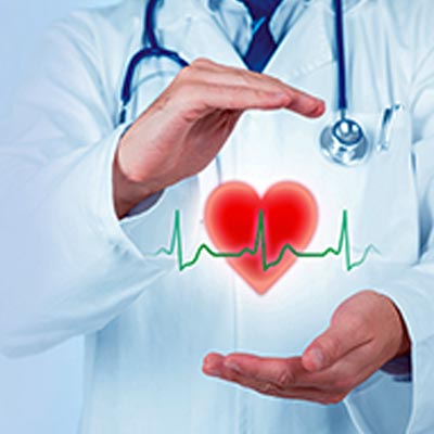 Cardiologist / Heart Specialist